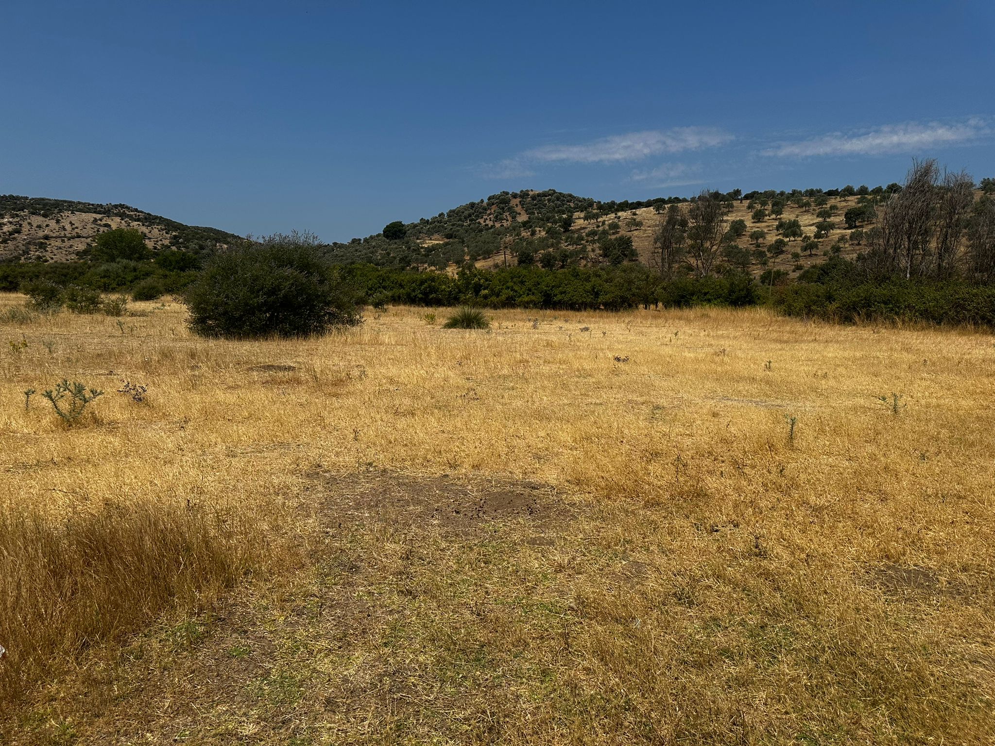 Ezine'de Yola Cepheli 8702m² Yatırımlık Arsa
