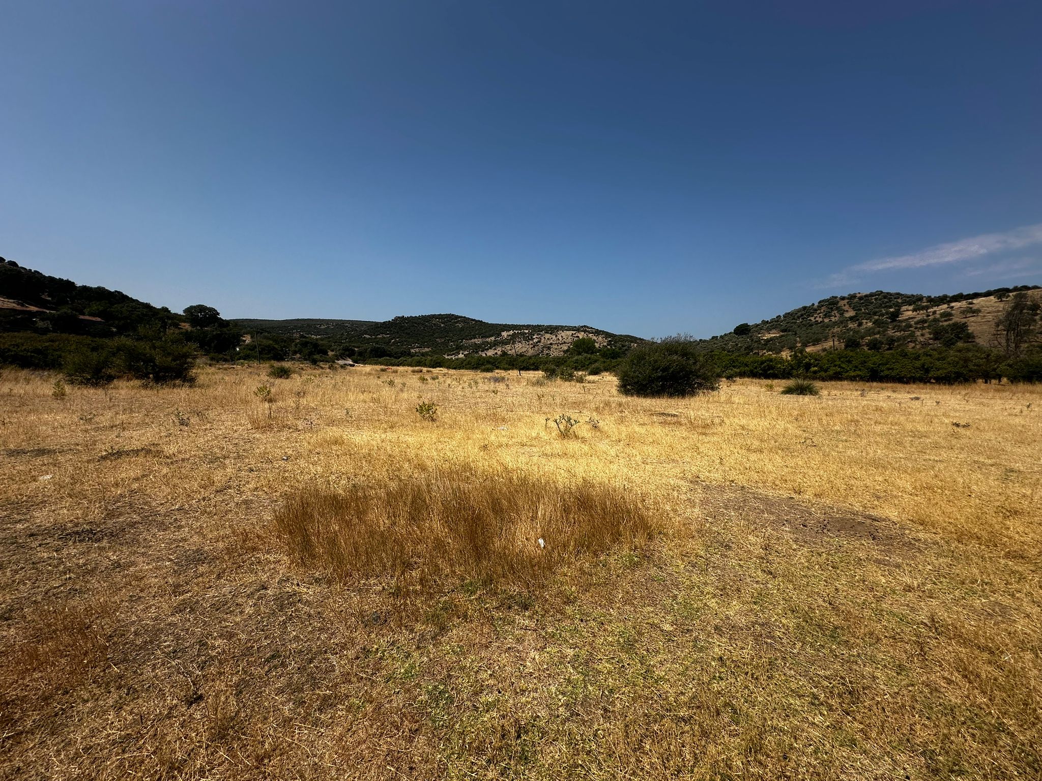 Ezine'de Yola Cepheli 8702m² Yatırımlık Arsa